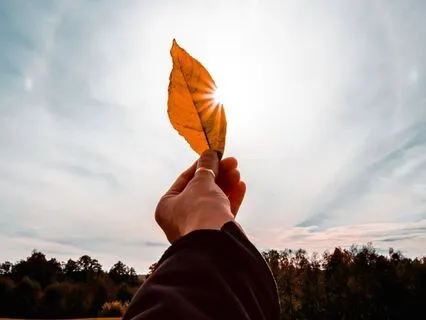 The Body Remembers: A Contemplation With Shame