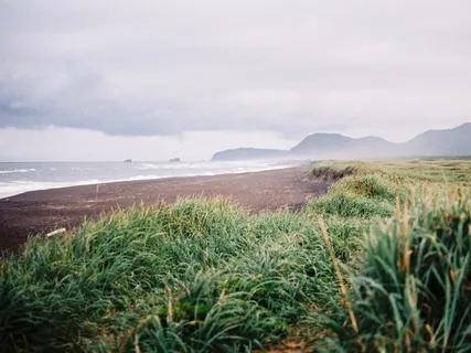 Body Scan For Cultivating Presence & Kindness