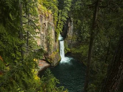 Body Scan For Presence