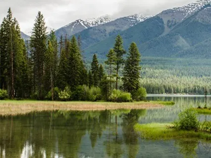 The Body Scan Meditation