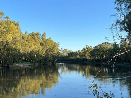 The Body Scan Meditation (No Music)