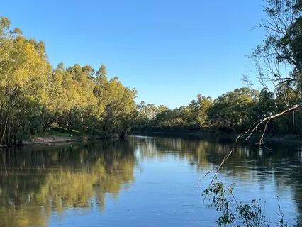 The Body Scan Meditation (with Music)