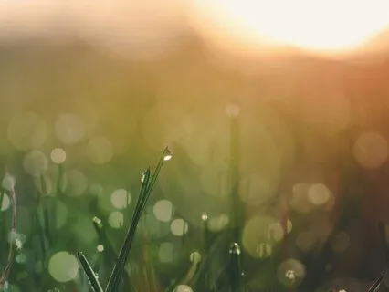 The Healing Body Scan