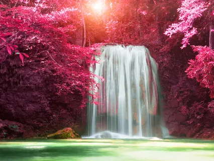 The Body's Affirmation