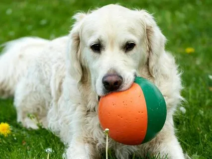 The Bouncible Ball, Part One