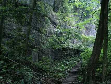 The Boy Who Swallowed The Moon