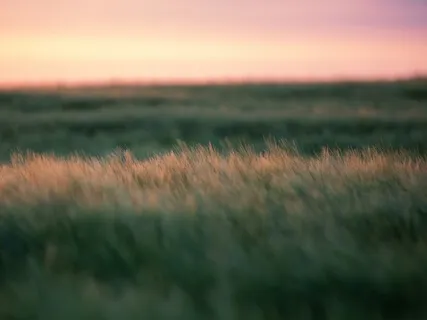 The Bravery In Letting Go