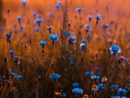 The Breath | 4-7-8 Breathwork For Stress & Anxiety