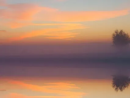 The Breath: Adapt To Stress & Find Balance