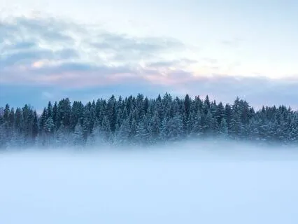 The Breath: Calm Anxiety & Settle Your Nervous System