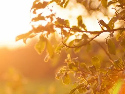 The Breath As An Anchor When You Feel Overwhelmed