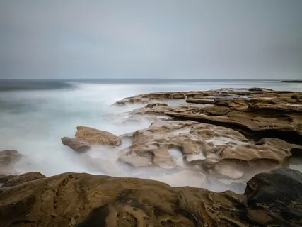 The Breath-Body Connection - Dissecting The Wisdom