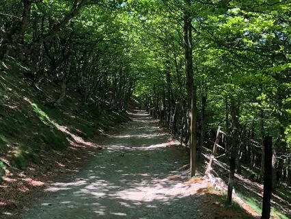 The Breath Inside The Breath