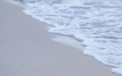 The Breath Is Life’s Teacher