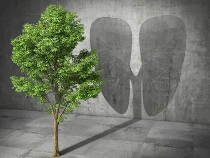 The Breath Of Life Series: Episode 1 - The Great Breath