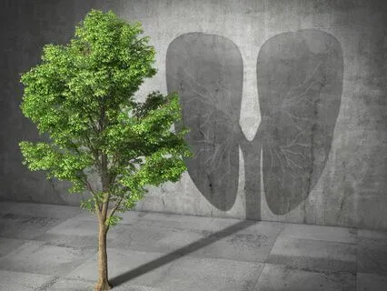 The Breath Of Life Series: Episode 2 - Breathe Away Fatigue