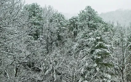 The Breath Of Winter (No Music)