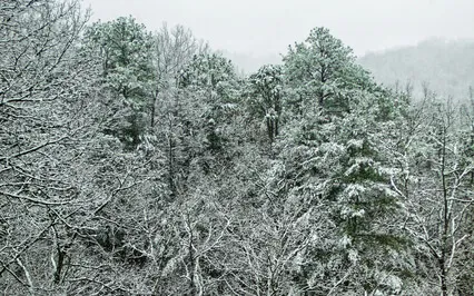 The Breath Of Winter (With Music)