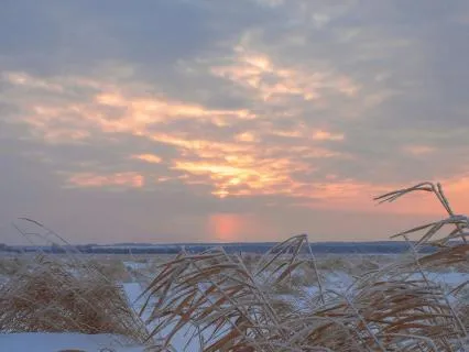 The Breath Remembers