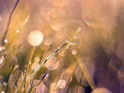 A Breathing Meditation For Healing & Relaxation