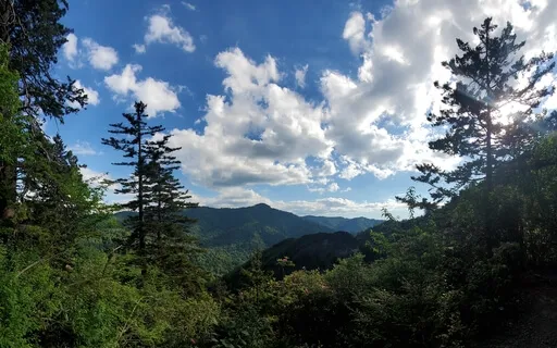 The Breathing Space Meditation MBCT