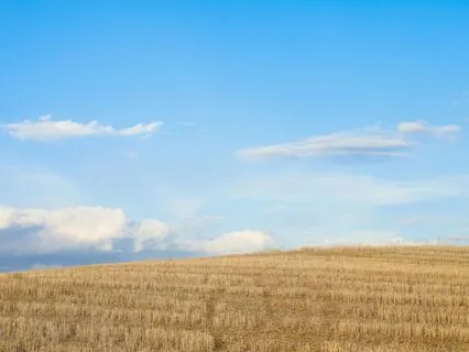 The Breathwork Experience (30 Minutes)