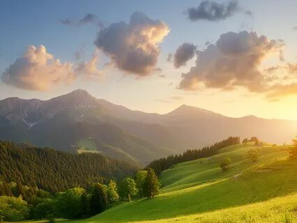 The Breeze Of Life: Embrace Change And Find Calm