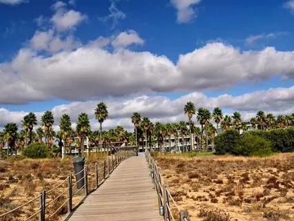 The Bridge Between Worlds