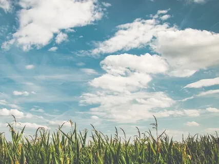 The Broken And The Beautiful