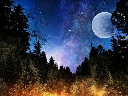 The Buried Moon: An Enchanting Bedtime Story