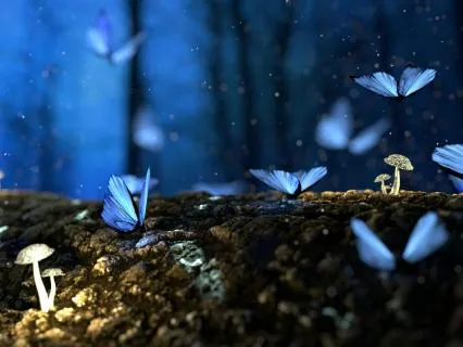 The Butterfly Sanctuary