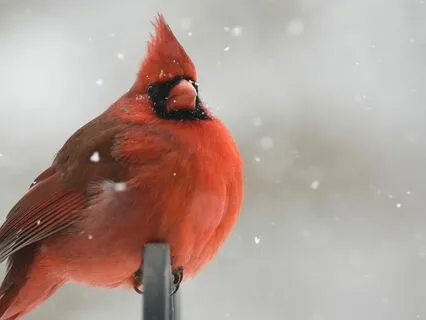 The Byte:Chris Hodge~Magic Happens When You Least Expect It!