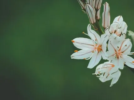 The Byte: Philip Blackett ~ Family Love Can Cure All Things!