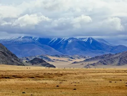 The Byte: Sas Carey ~ Mongolian Dreams & Shamanic Magic