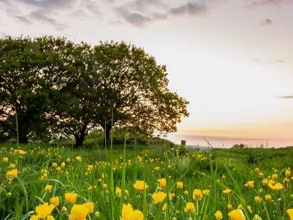 The Cabin In The Woods: A Meditation For Intrusive Thoughts