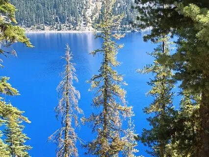 The Cactus And The Rain