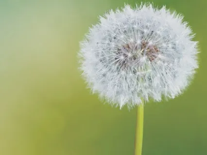 The Calm Before The Storm - Morning Mindfulness