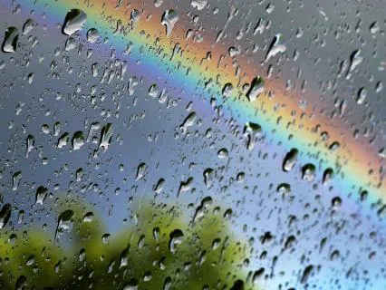 The Calm In The Storm For Times Of Chaos & Overwhelm