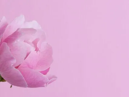 The Calm Mind: Alpha Waves For Stress-Free Focus