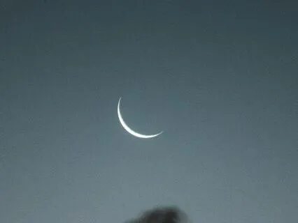 The Calmest Night In The World