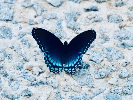 The Catalyst For Change