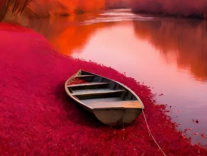 The Cause And Solution To All Suffering Is Internal