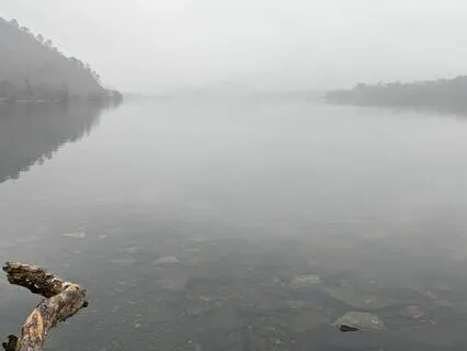 The Cause Of My Sorrow (Fath Mo Bhuartha)