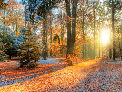 The Chakra Clearing Meditation And Energy Protection Practice