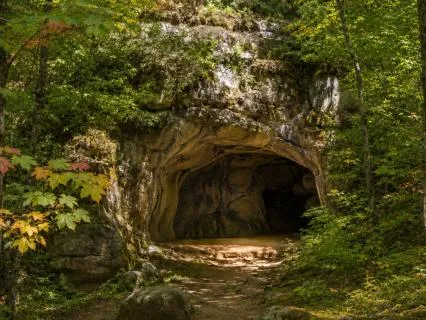 The Chamber Of Inner Knowing Meditation + Sound Bath + Reiki