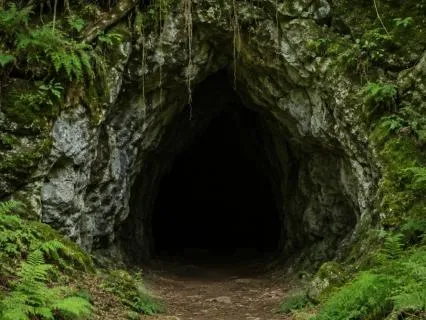 The Chamber Of Inner Knowing