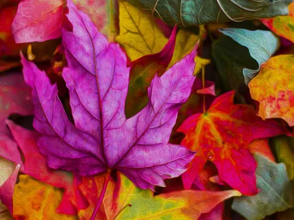 The Changing Leaves: An Autumn Sleep Story And Guided Meditation