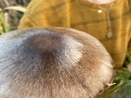 The Changing Of The Season - Transitioning Into Autumn