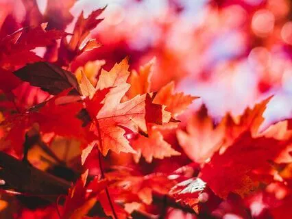 The Characteristic Of Change