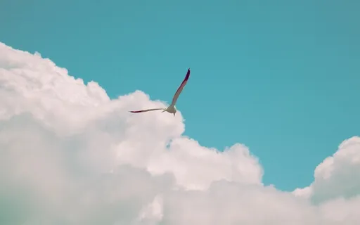 The Chariot - Move Forward In Your True Direction